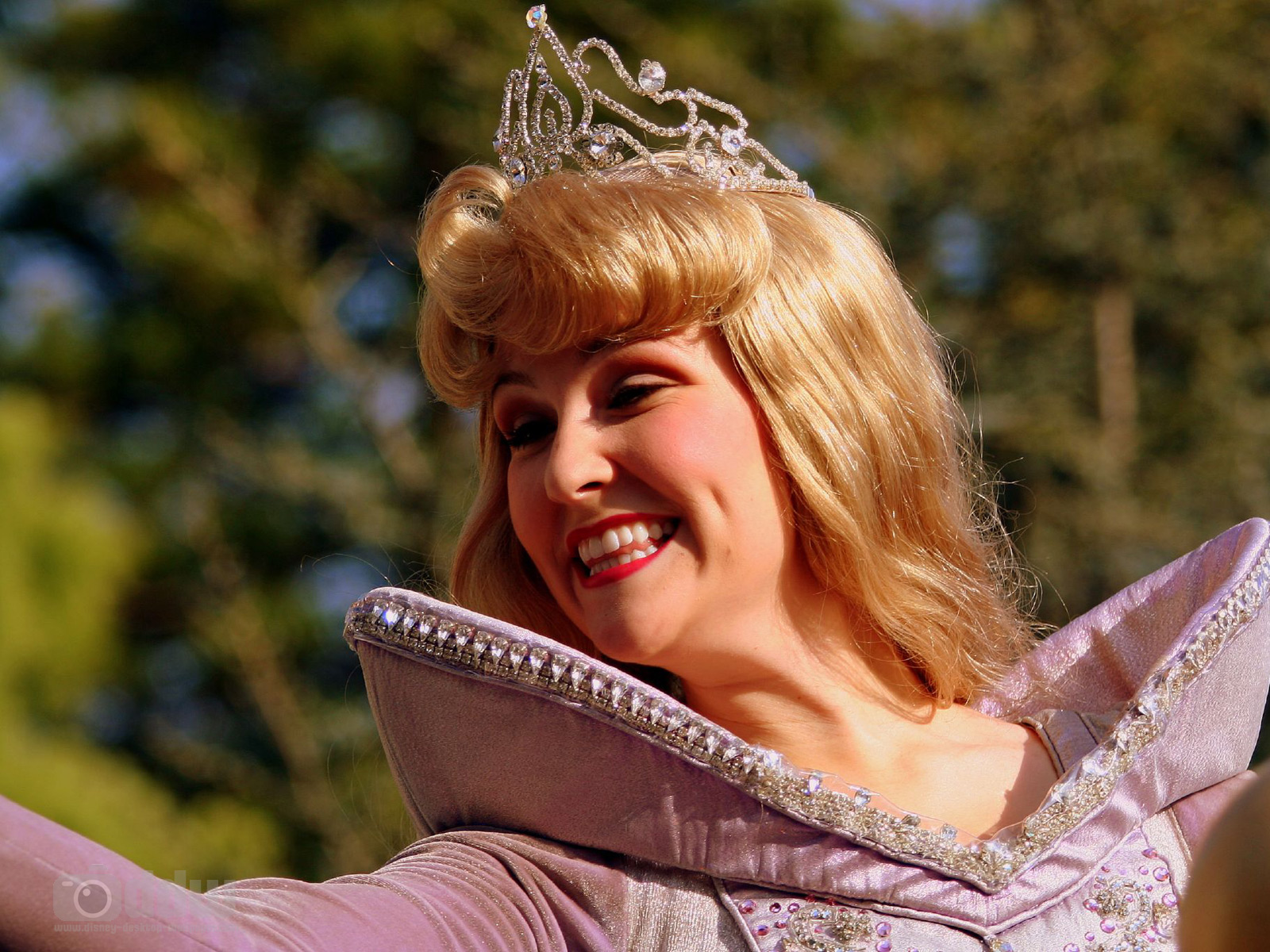 Disney Princess Aurora Desktop Wallpaper