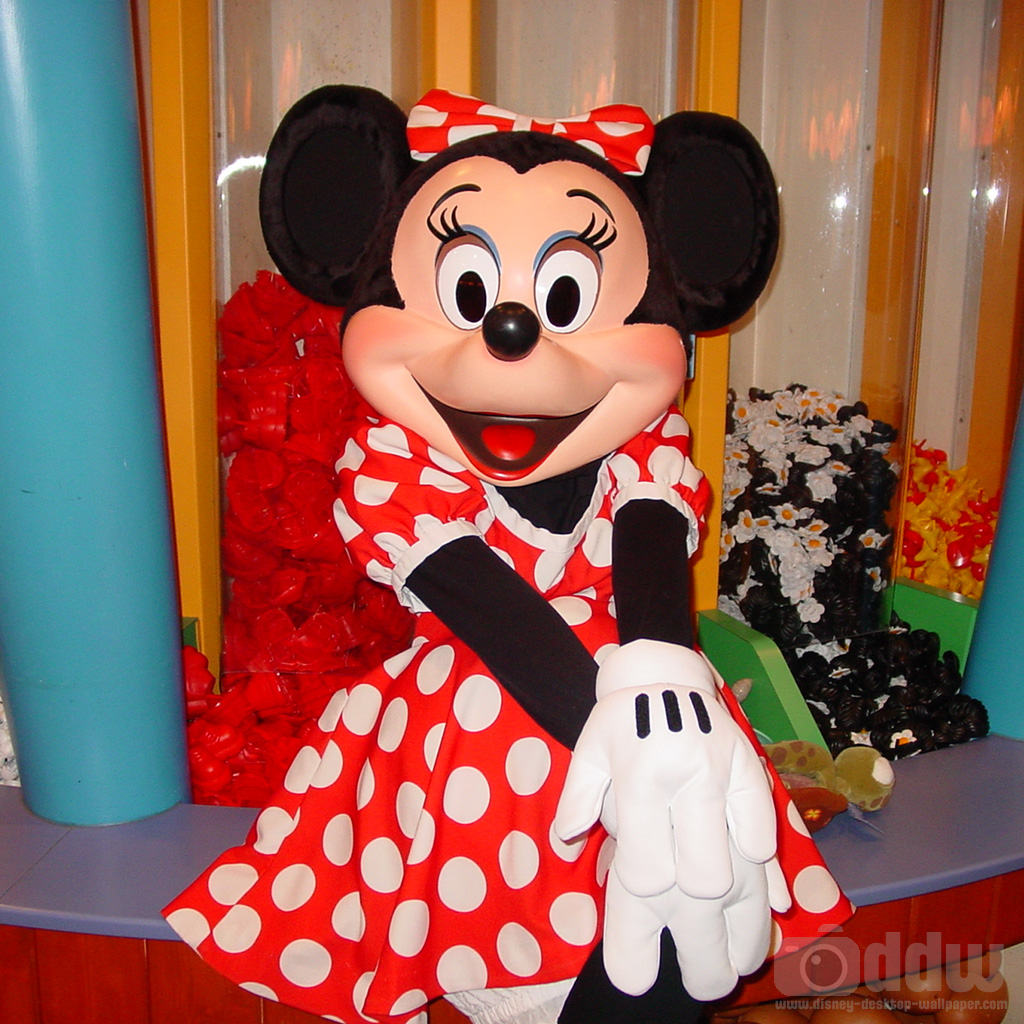 Minnie Mouse iPad Wallpaper