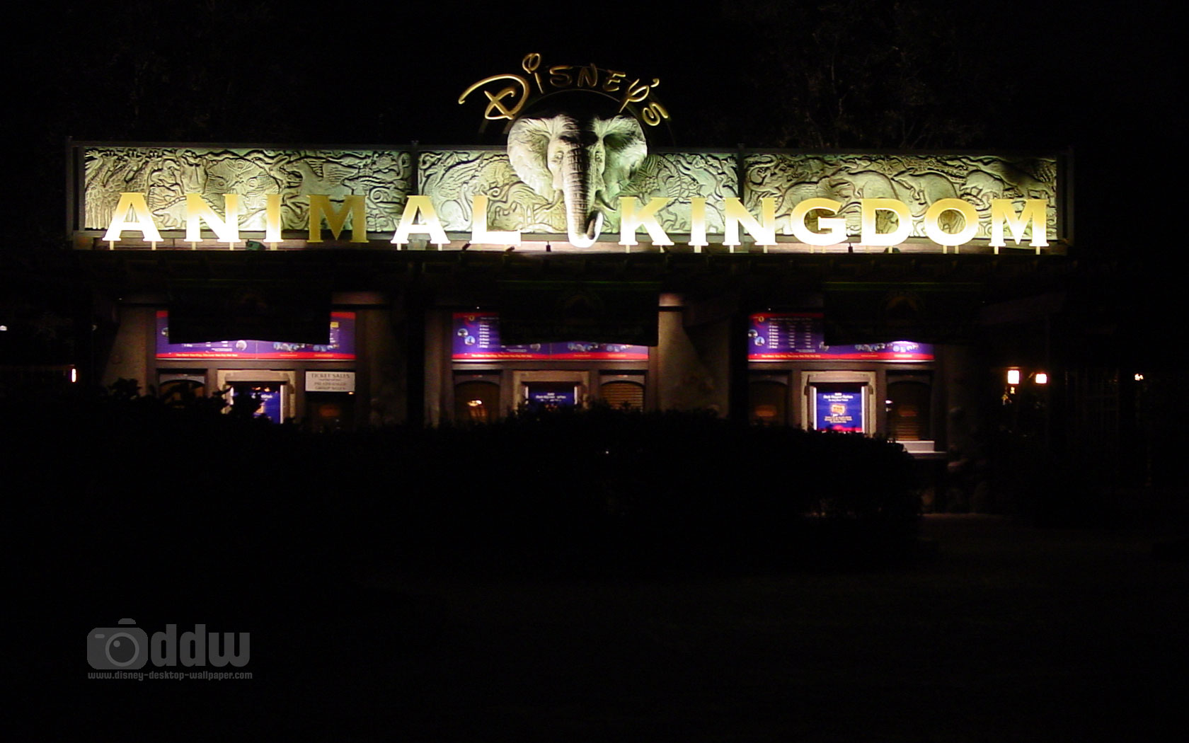 Animal Kingdom Desktop Wallpaper
