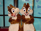 chip and dale desktop wallpaper