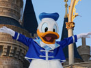 Donald Duck desktop wallpaper