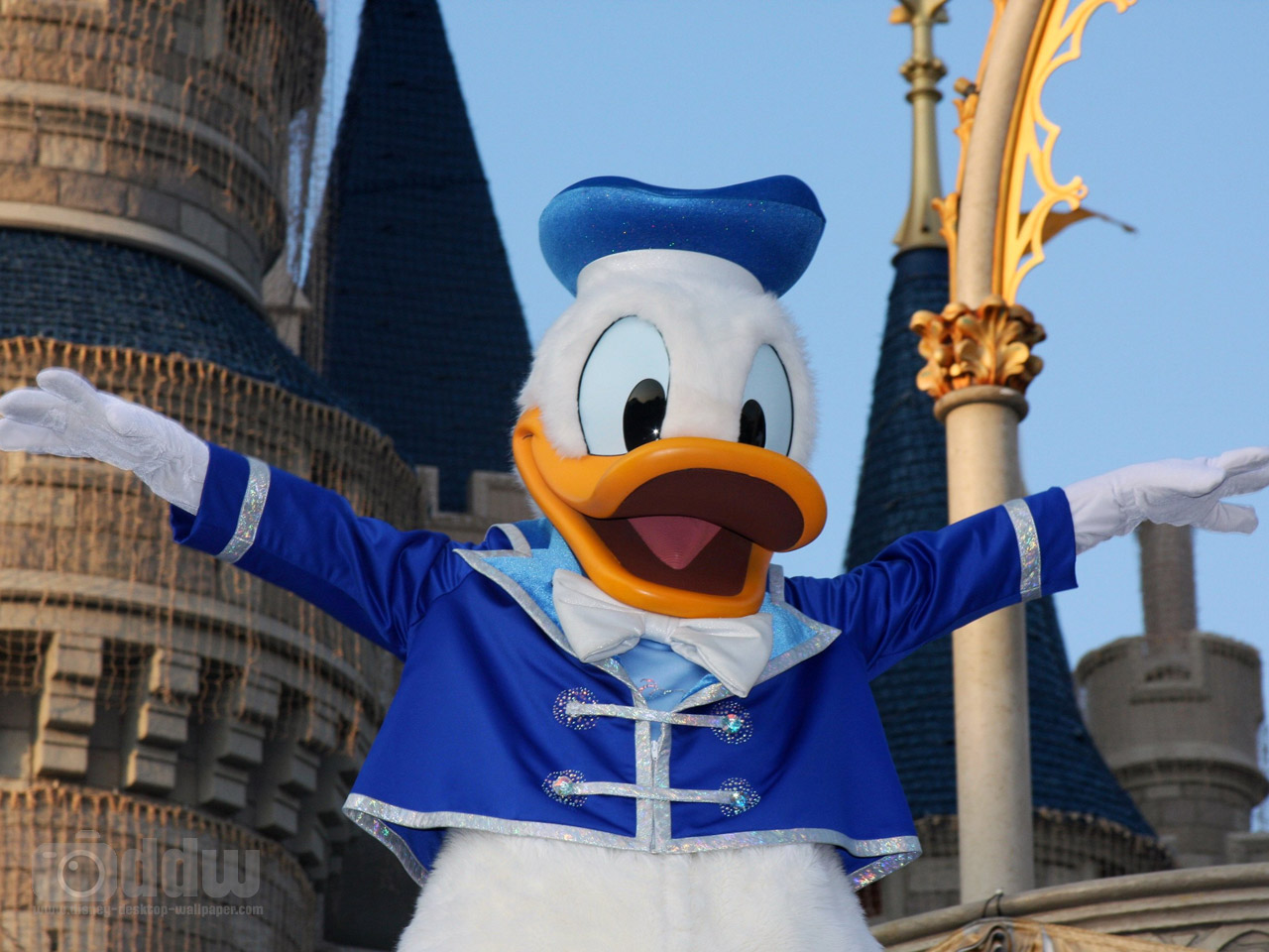 Donald Duck Desktop Wallpaper