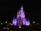 cinderella castle desktop wallpaper